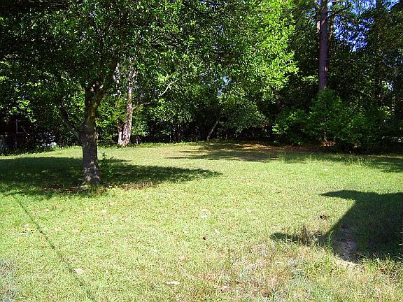 Backyard middle, from porch