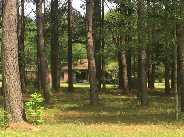 140 John Evans Rd, Petal, MS 39465