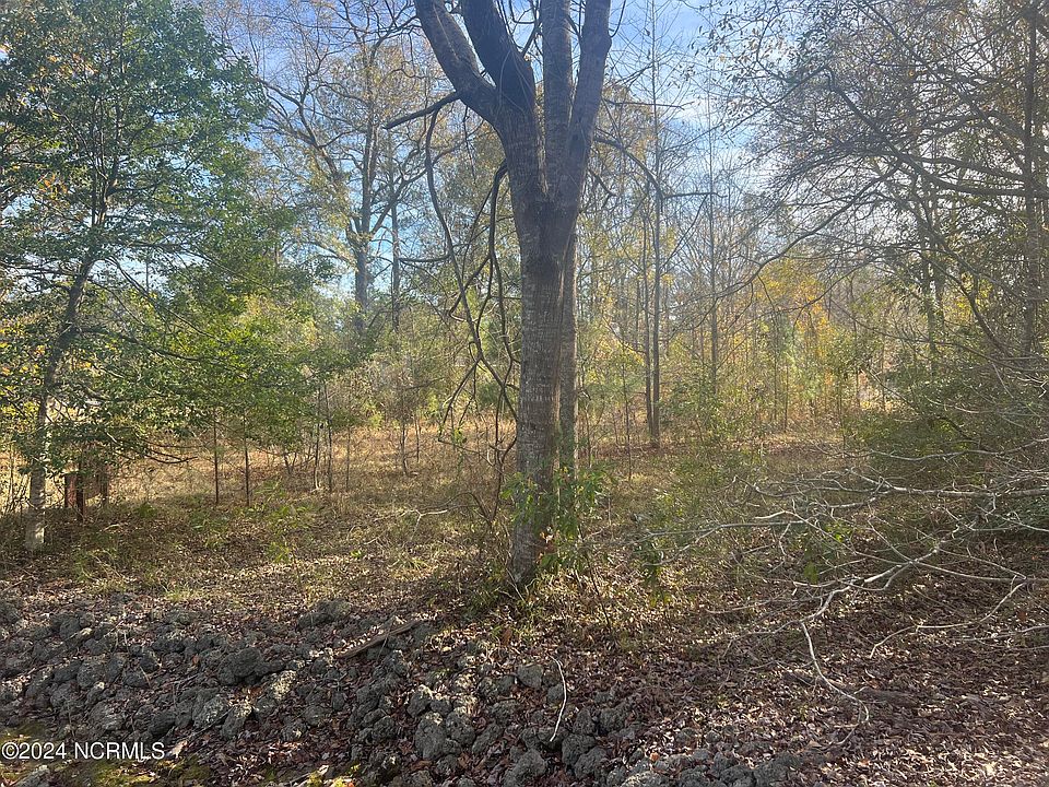2nd image of 1019 Plantation Drive