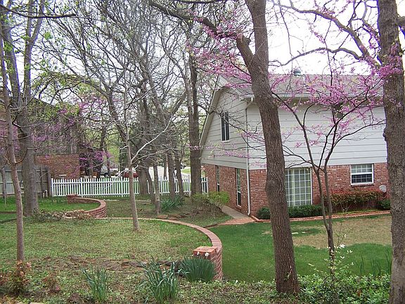 Rear Yard