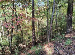 334 Cold Stream Rd, Ellijay, GA 30540