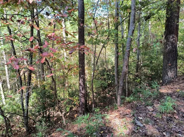 334 Cold Stream Rd, Ellijay, GA 30540
