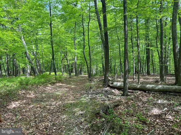 N North River Rd, Augusta, WV 26704