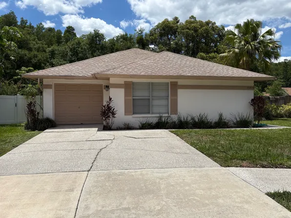 11813 Hickorynut Dr, Tampa, FL 33625