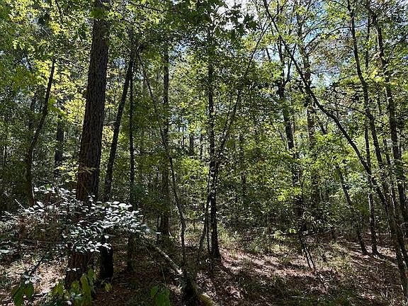 3rd image of County Road 4682