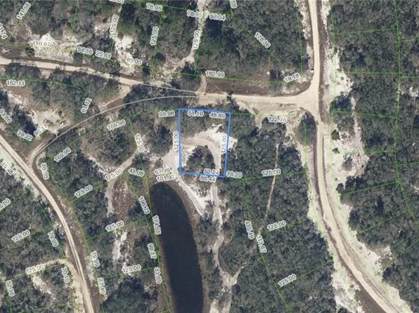 305 Blue Heaven Dr, Lake Placid, FL 33852