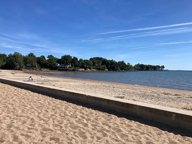 Dane still beach