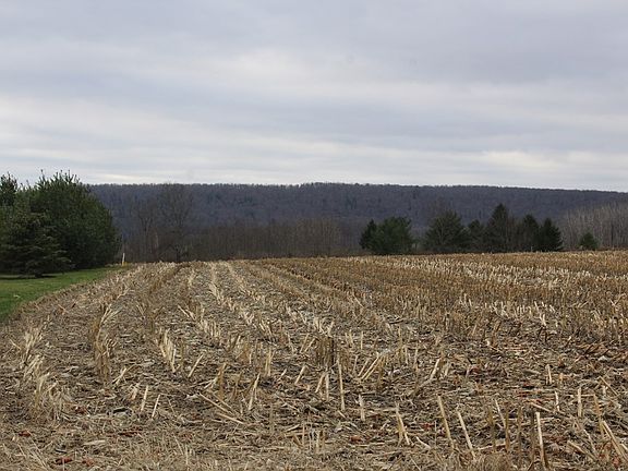 5th image of 70 Jackson Rd