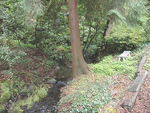 Year round creek