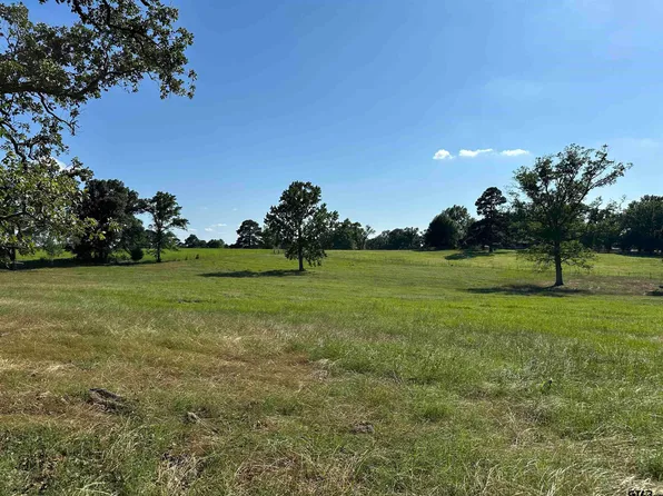 21070 County Road 2207, Arp, TX 75750