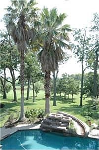 3rd image of 4306 Colony West Dr