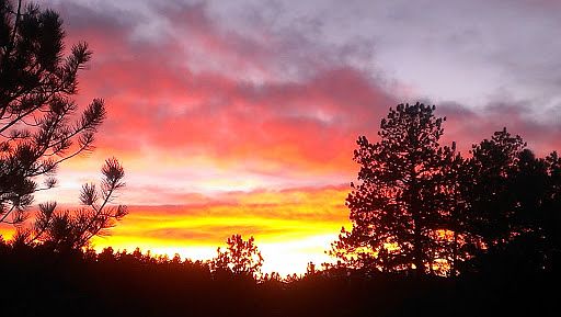 View from the Deck