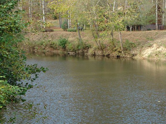 Coosawattee River in your Backyard