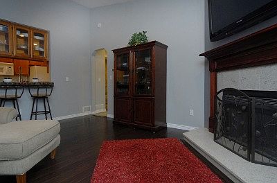 Wood Burning Fireplace