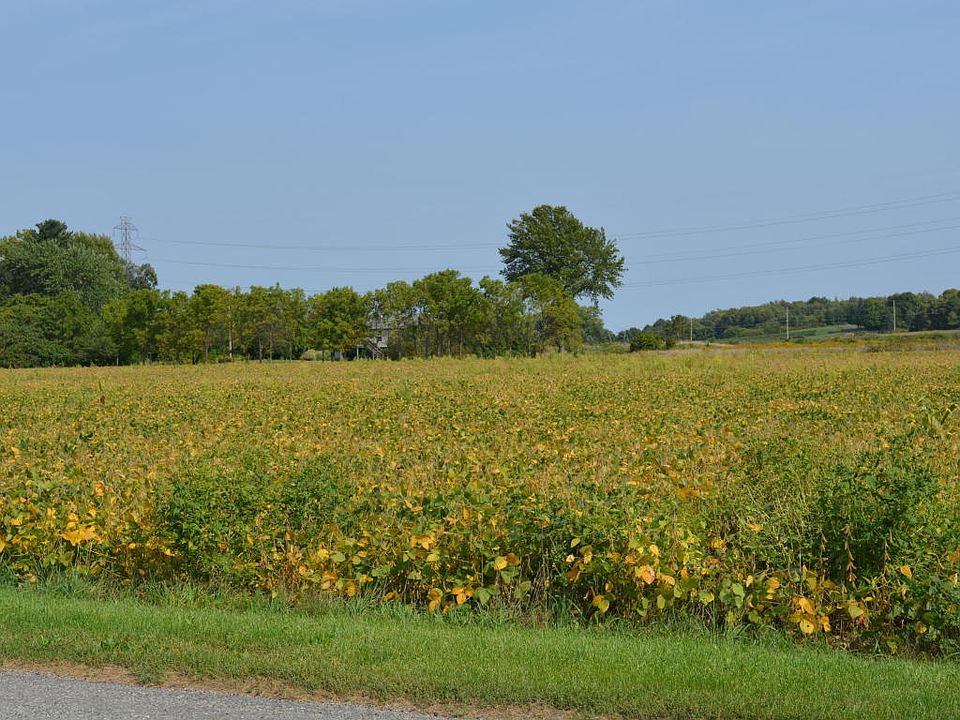 2nd image of 8740 Gray Rd