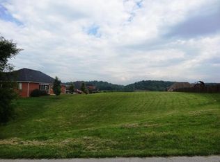 133 Sugarcane Ln, Blountville, TN 37617