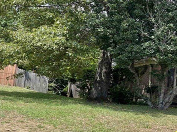 3rd image of 1107 Claymont Ct