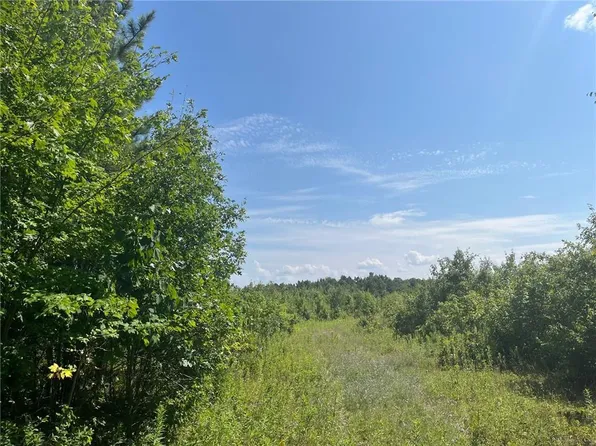 Tax ID 10787 Black Brook Rd, Webster, WI 54893