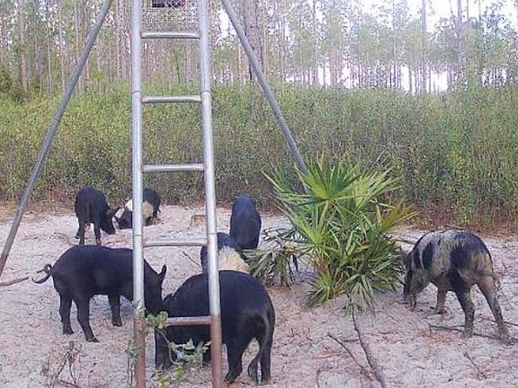 5th image of 0 Clyatt Rd