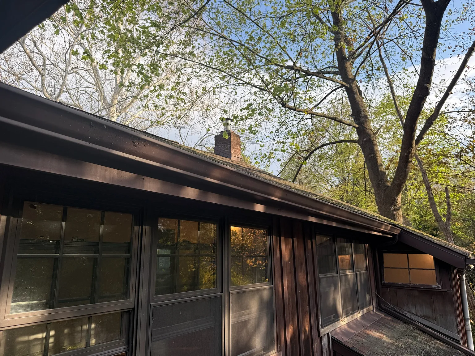 3 bed, 850 sqft, $2,800 — Photo 2