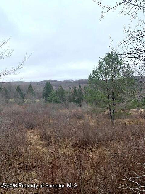 1st image of Jackson Valley Rd