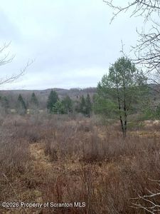 Jackson Valley Rd, Little Meadows, PA, 18830