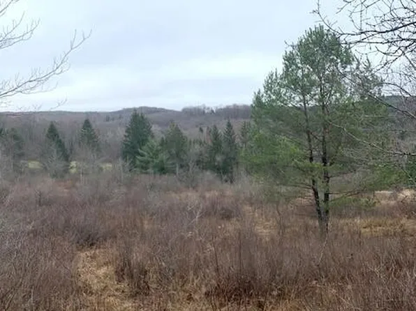 Jackson Valley Rd, Little Meadows, PA 18830