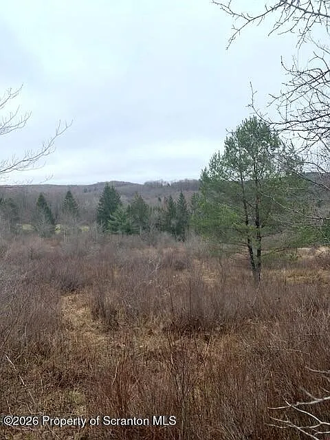 Jackson Valley Rd photo 1