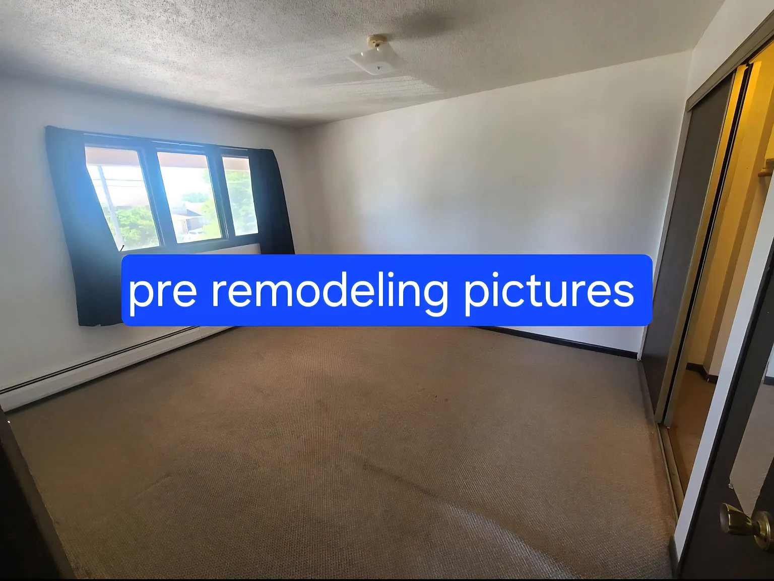 1 bed, $1,115 — Photo 4