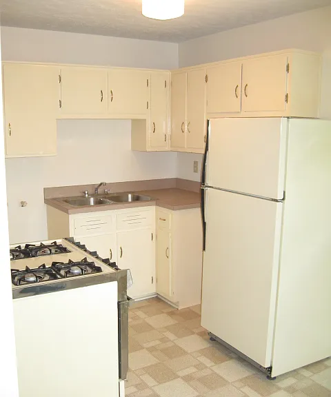 3513 Ephraim McDowell Dr #3 — Photo 4
