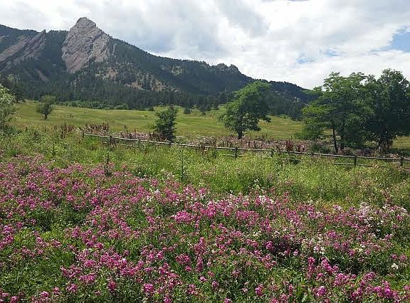 2nd image of 34 Chautauqua Park Park