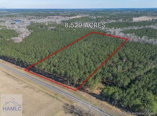 2 Ben Giddens Rd, Eastman, GA 31023