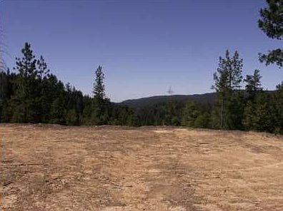 4th image of 13805 Lower Greenhorn Road