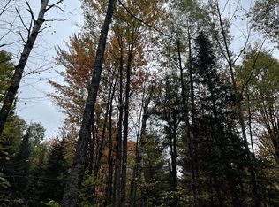 Wheeler Lake Rd, Kalkaska, MI 49646