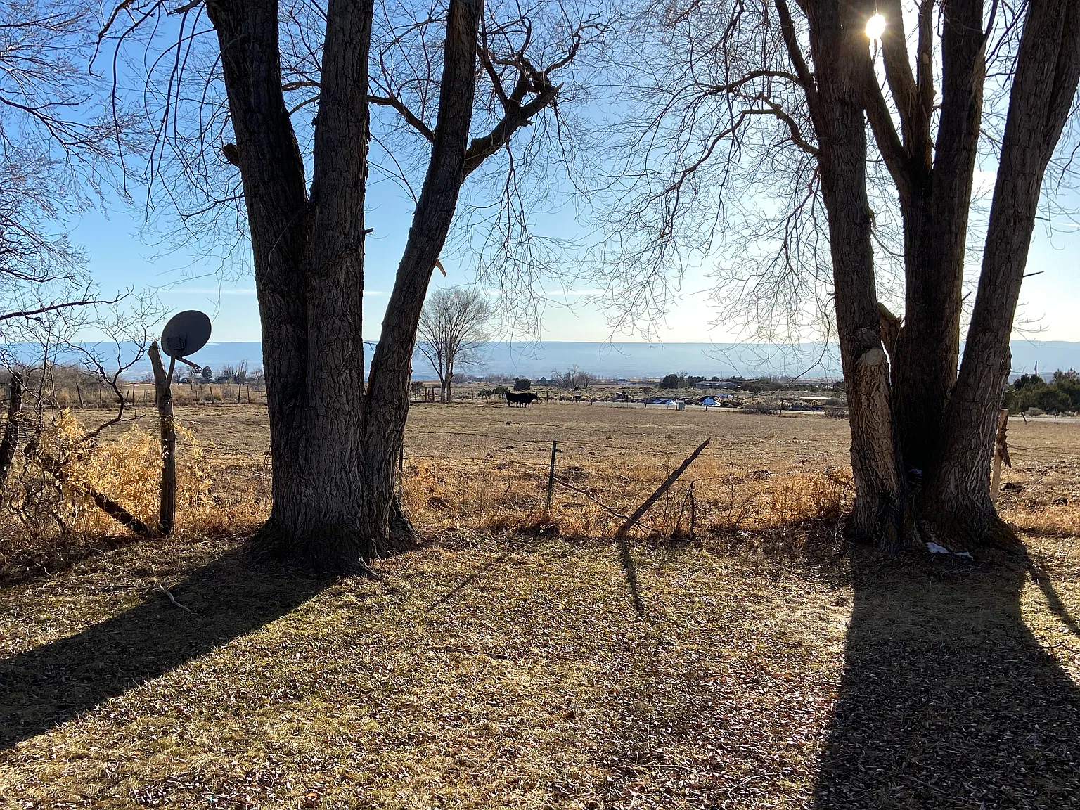3 bed, 1200 sqft, $1,700 — Photo 4