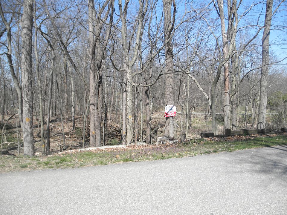 wooded lot