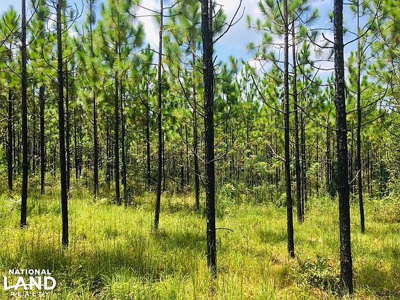 Another Possible Homesite