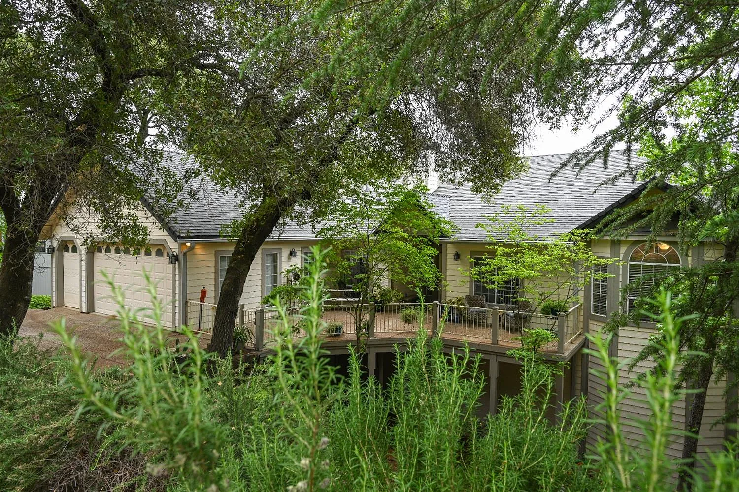 11798 Warbler Way photo 1