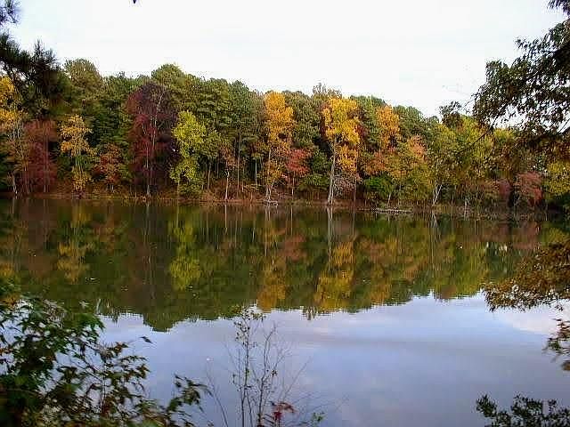 Live Intown On a Lake!