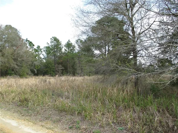 SW 24th Lot 16, Ocala, FL 34481