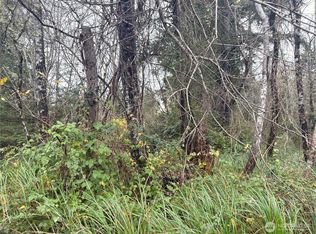 294 Xx Ln, Ocean Park, WA 98640