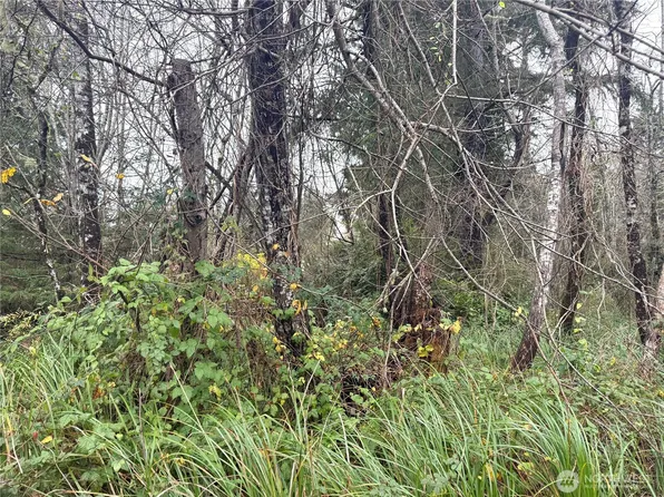 294 XX S Lane, Ocean Park, WA 98640