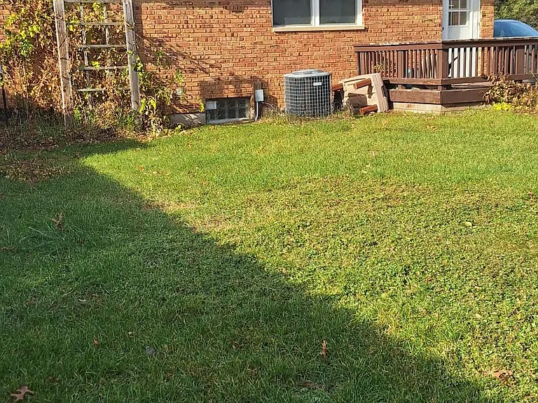 Back yard, deck