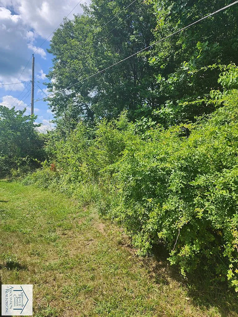 5 Tilley Dr photo 1