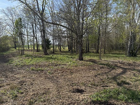 3rd image of 0 Bob Meadows Rd Lot 1