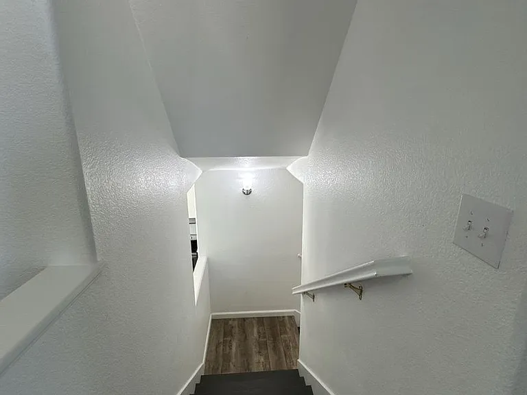 2020 Golden Way — Photo 23