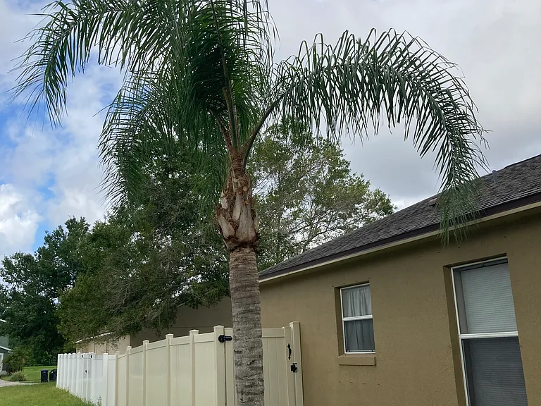 Side view with vinyl fenced back yard