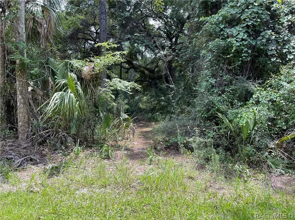 180 Azalee Ave, Inglis, FL 34449