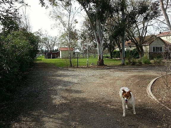4th image of 9814 Mindy Ln