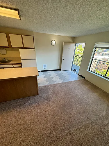 4130 11th Ave NE #3003 Photo 1